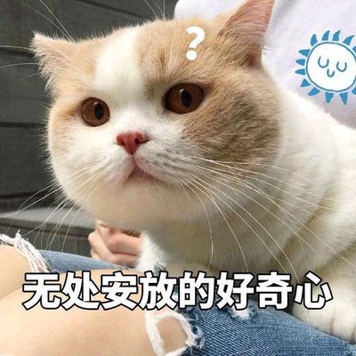 无法安放的好奇心.jpg