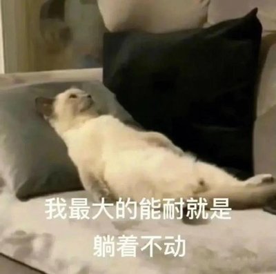 躺着不动.jpg