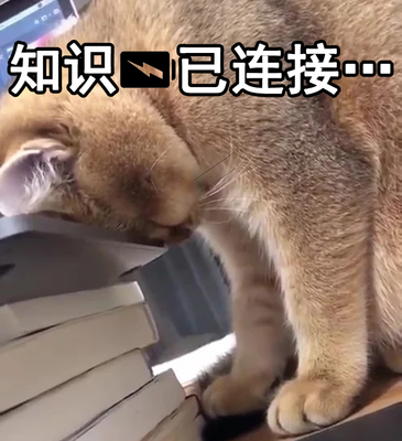 知识.jpg