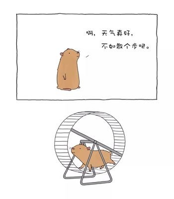 今天天气henhao.jpg