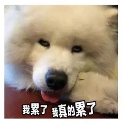 累了.jpg