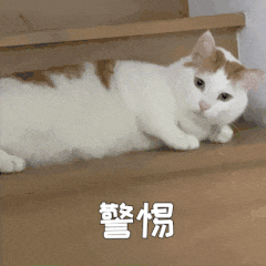 警惕.gif