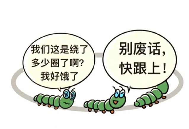 毛毛虫效应实验.jpg
