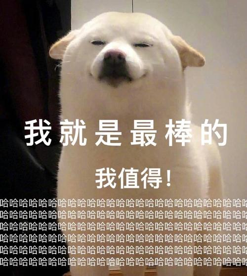 我就是最棒的.jpg