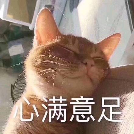 心满意足.jpeg