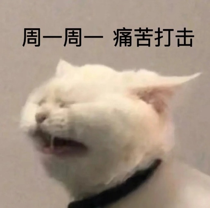 周一周一.jpg