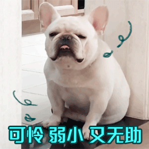 可怜.gif