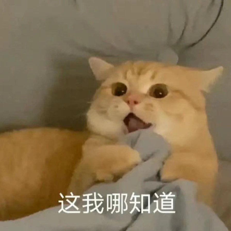 这我哪知道.jpg
