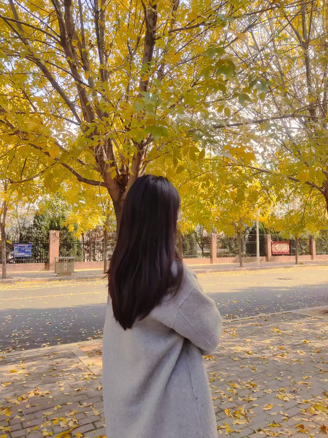 商学院.jpg 商学院.jpg