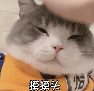 摸摸头.gif