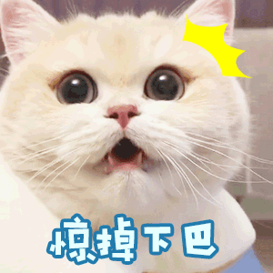 惊掉下巴3.gif