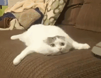 麻木4.gif