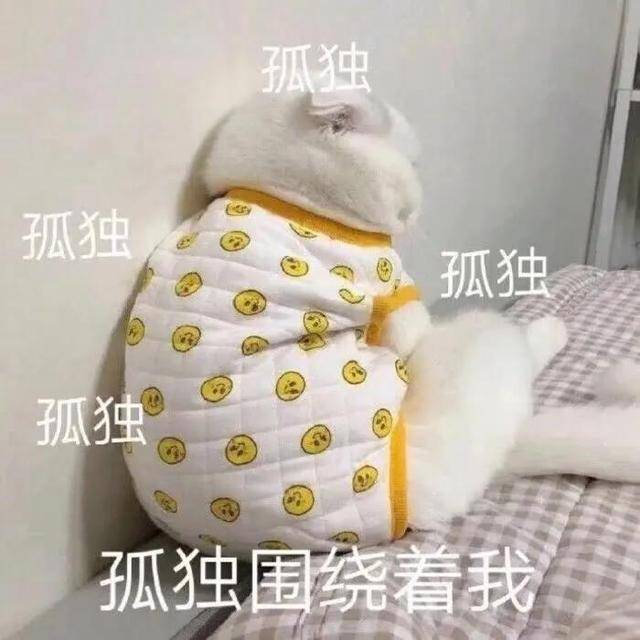 孤独6.jpeg