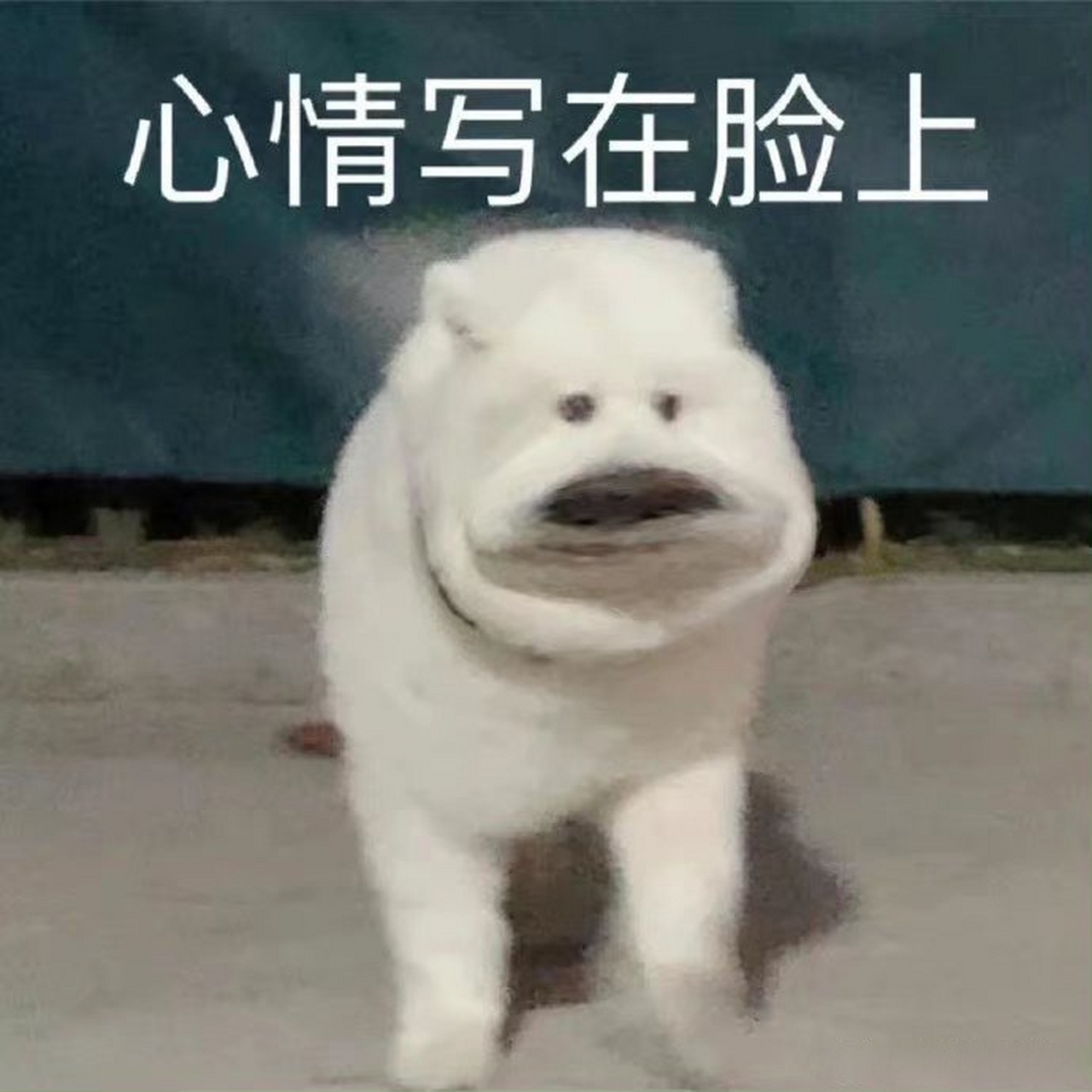 心情写在脸上.jpeg